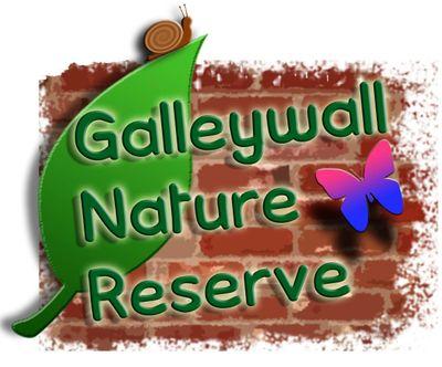 GalleywallNR's profile picture. A tiny oasis of nature in the middle of London. We run community days, open days and sessions for local school groups