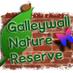 Galleywall Reserve (@galleywallnr) Twitter profile photo