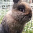 Michelle wyse - @michelleawyse - Twitter