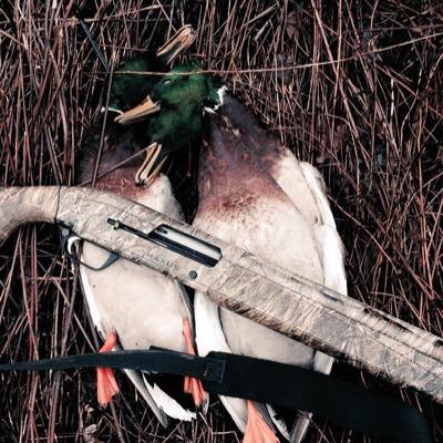 Check out my youtube channel Outdoorsman Channel
https://t.co/VQUf1OgX9v