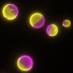 Roux Lab (@rouxlab) Twitter profile photo Roux Lab (@rouxlab) Twitter profile photo
