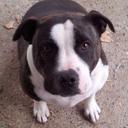 Andrea Ralph - @andrea_ralph - Twitter