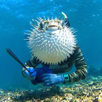 efstrat1os's profile picture. 