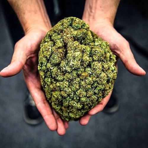 French stoner who loves to chill out with da homies..