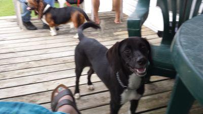 ericabook718's profile picture. I've been married to my wonderful husband for 20 years . I'm originally from Pittsburgh area but now  live in southern Ohio but still love my Pittsburgh Steeler