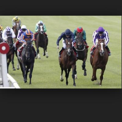 If you fancy a horse to win just tip it and we'll all get rich together, no fee or charges just tip what you think will win