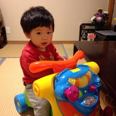 ナガヌー