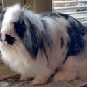 Tamara Martens - @Muhkuh17 - Twitter