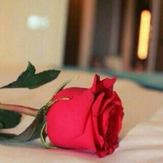 ربي إني مسني الضر وأنت أرحم الراحمين ♡