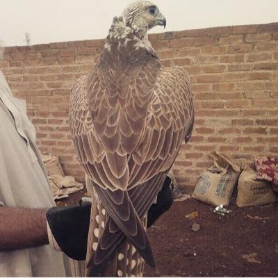 mnea22's profile picture. 