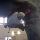 Sean Singleton - @ssingleton10 - Twitter