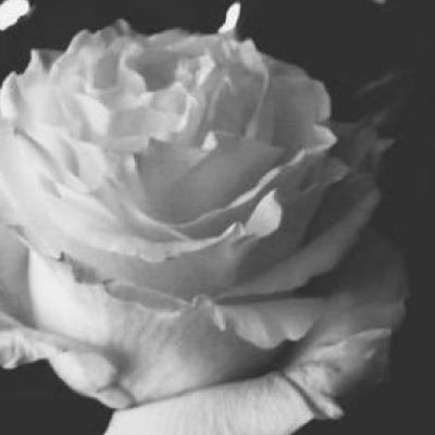 TheButterfly45's profile picture. Please DM if you need someone or are just feeling down. i understand what some of you are going through