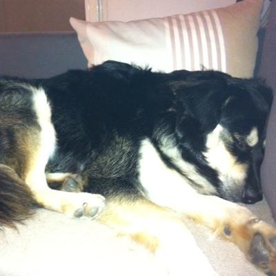 2906Vanessa's profile picture. 