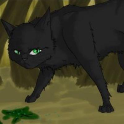 [RP/She-cat] Loner. Experienced with herbs. 4 years old.