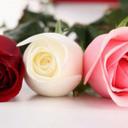 ღ منىღ (@05353mona) Twitter