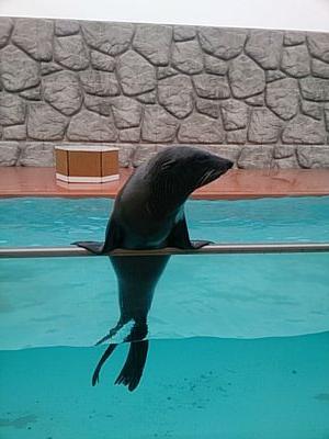 日々の何気ないことを気の向くままに…。