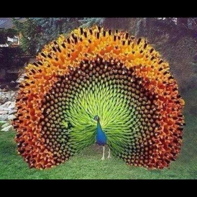 استغفر الله عدد خلقه ورضى نفسه وزنة عرشه ومداد كلماته