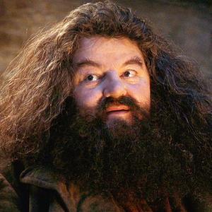 Semigigante Guardabosques de los terrenos de Hogwarts. Profesor de Cuidado de Criaturas Mágicas. Norberto Aragog Buckbeak Always #Potterowll