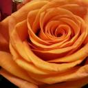 أنين الروح (@11_a2009) Twitter