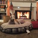 Jill Wright Smith - @jillwrightsmith - Twitter