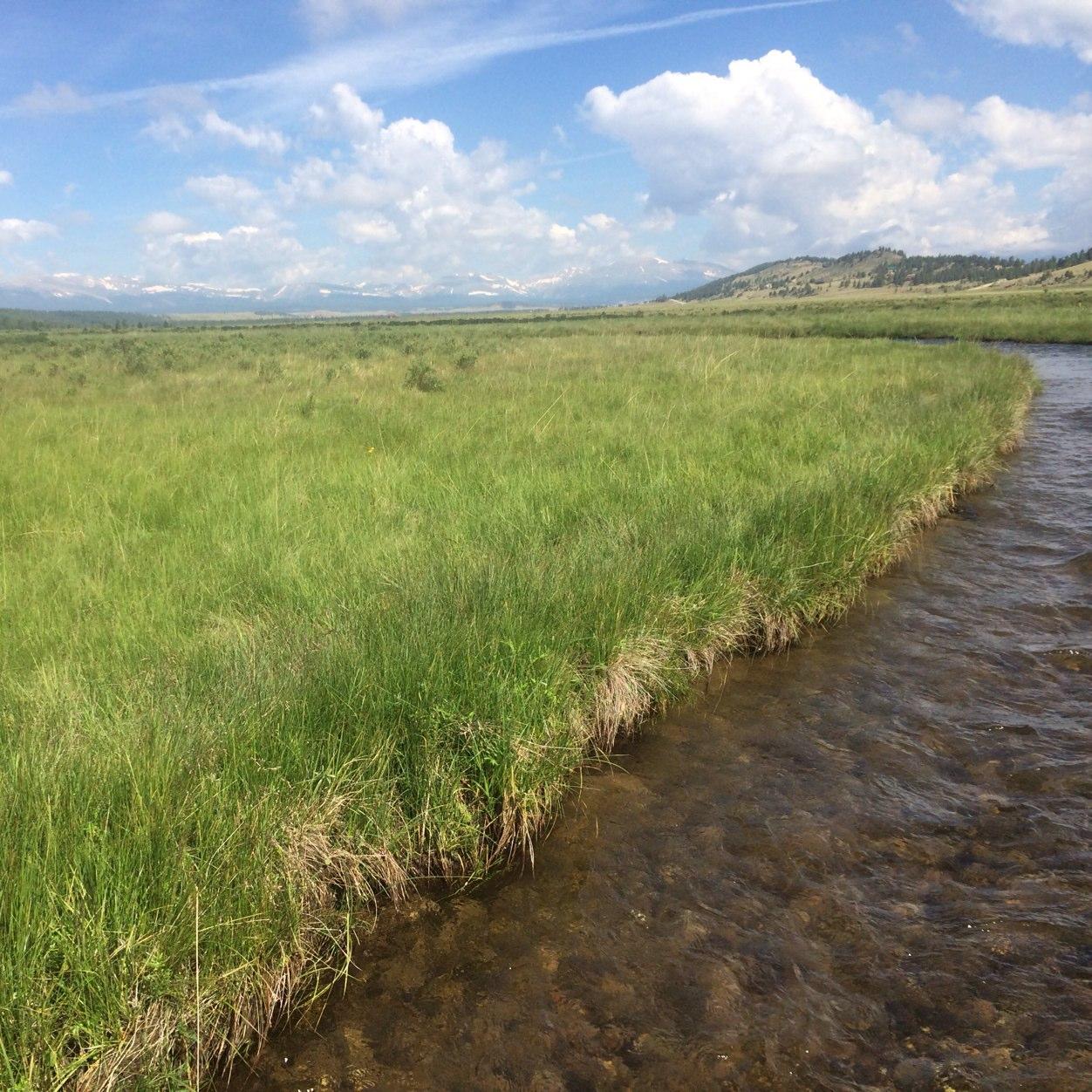 AdamHParrish's profile picture. Store Manager - South Oklahoma City - 3901