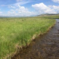 Adam Parrish (@adamhparrish) 's Twitter Profile Photo