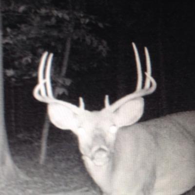 20 feet up.... Instagram @ BOWHUNTINGOLFER webpage - https://t.co/zLAfmuM5Ec