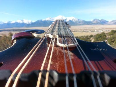 Singer. Songwriter. Folk and Rock musician. Solo. Violet Pilot. Pickin' On The Dead.