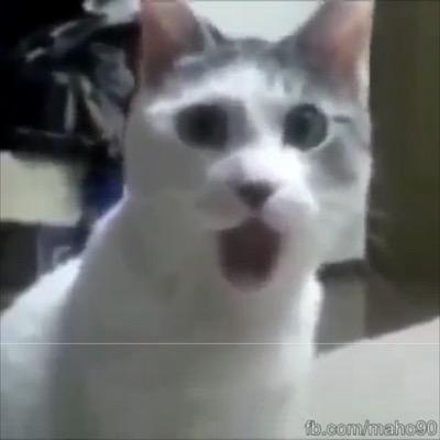 countryboy4987's profile picture. follow me plz.