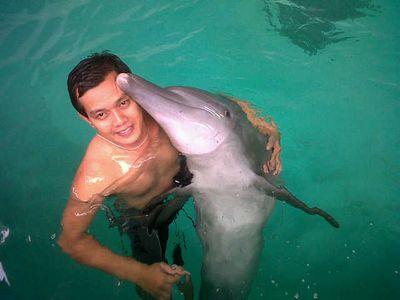 dolphin trainer@ods_ancol_indonesia