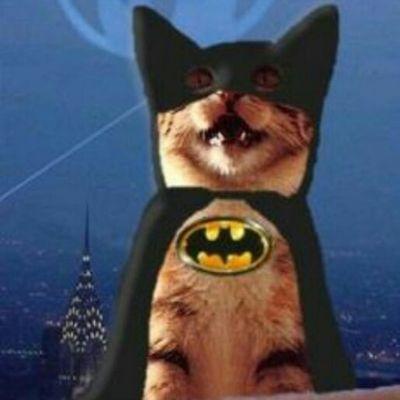 FureySarshfurey's profile picture. 