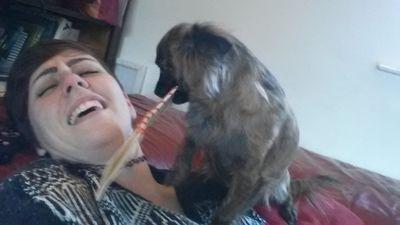 eeePudd's profile picture. Her skin was a bluey orange colour, with the texture of a walnut, thick purple hair covered her body, as did hidious warts. ~Dad.