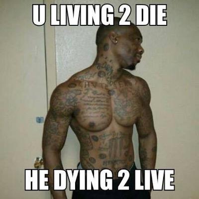 Did Does n Will Always Do Him