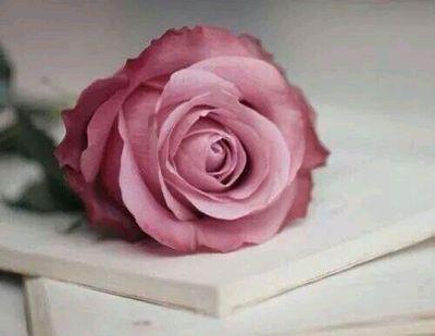 ‏‏‏‏‏‏‏‏‏‏أفعالنا أصبحت تحتاج لمحامي
نحن نفعلها ببرآءه . وغيرنا يفهمها بخبث  تابعني ♻اتابعك ..تحذفني❌احذفك  الخاص مهمل