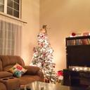 Michele_Misty - @michele_misty - Twitter