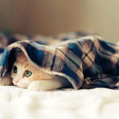 ‏‏‏‏‏‏‏‏‏‏‏عمري 30 ‎‎‎‎‎‎‎‎‎‎@حذاب جدا ‎‎‎‎‎‎‎‎‎‎‎@احب كبيرات العمر والطيز‎‎‎‎@اعشق الكس بجنون واحب المربربات واحب الرومانسية في النيك والقوة