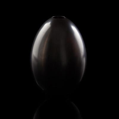 I am the egg man coo coo cu chu

Sitting in an American garden waiting for the sun
And if the sun don't come I'll give you tales of living in Obamas reign