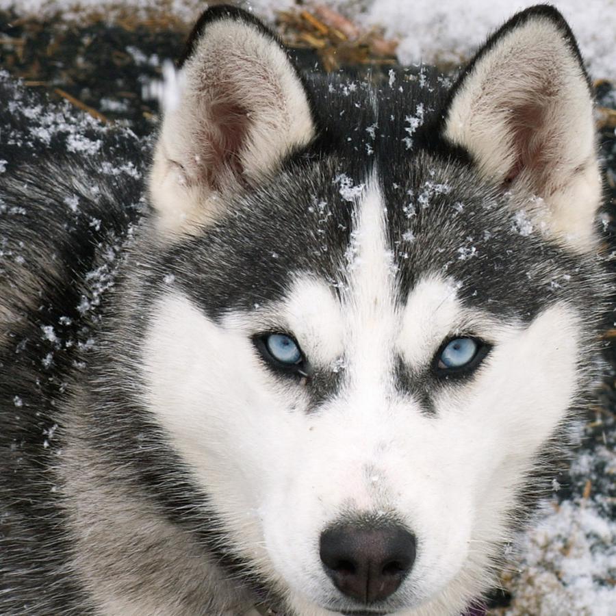 gregor22_'s profile picture. 