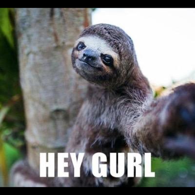 neilquill's profile picture. 