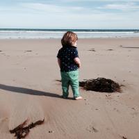 Chris Muller (@kyabram) 's Twitter Profile