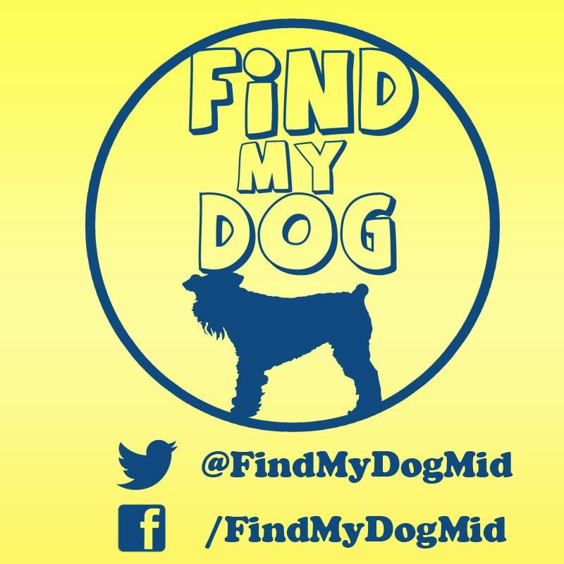 FindMyDogMid Profile Picture