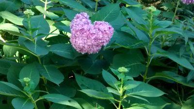 puppyface6410's profile picture. 