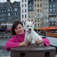 Rousseau (@ffran19631) 's Twitter Profile