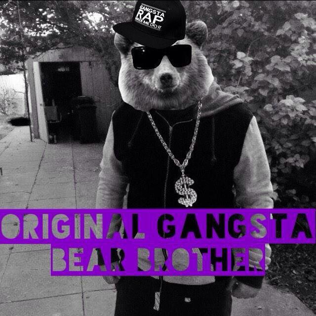 OGBearbrother's profile picture. 