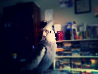 Empress_Kat Profile Picture