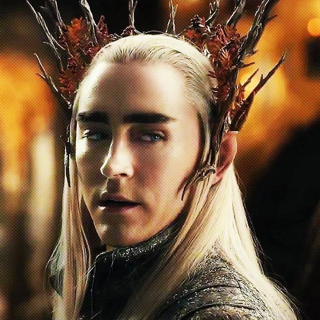 I am Thranduil, Cold hearted Elven King of Mirkwood. Father of Legolas Greenleaf. [[single/ships anything]]