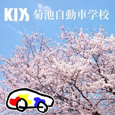 Kds菊池自動車学校 Kds Kikuchi Twitter Kds菊池自動車学校 Kds Kikuchi Twitter