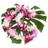 PacificLeis's profile image