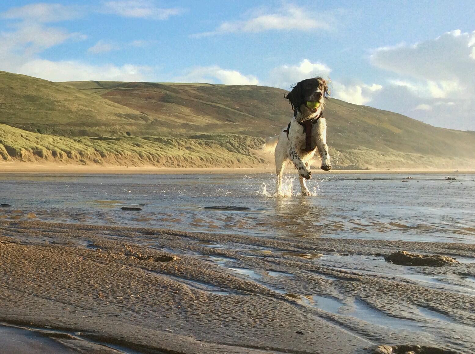 Enjoying the trails , runner, cyclist, walker and part time custodian of Monty