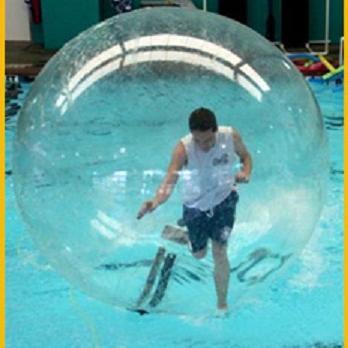 hamsterballUSA's profile picture. We are one of the leading online stores for all your bubble soccer requirements. We offer top quality products at the most reasonable rates.